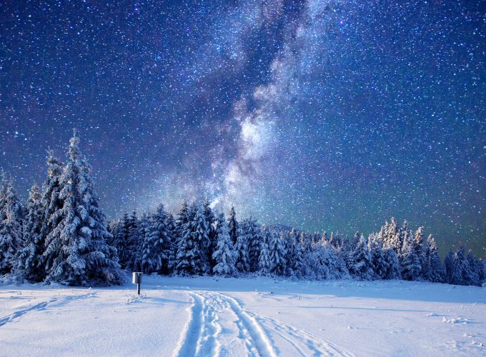 Wallpaper forest, snow, winter, sky, stars, night, 5k, Nature 4351312807